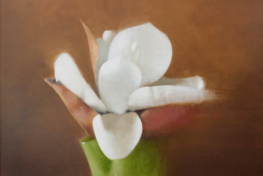 Magnolia