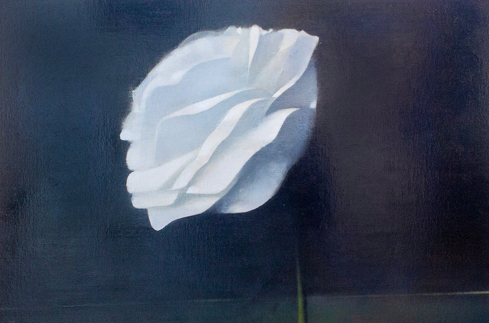 Rose II